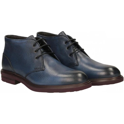 Brecos CERVO Couleur Bleu – Image 2