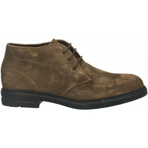 Brecos GORAIN Couleur Marron